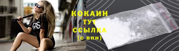 прущие крисы Алзамай