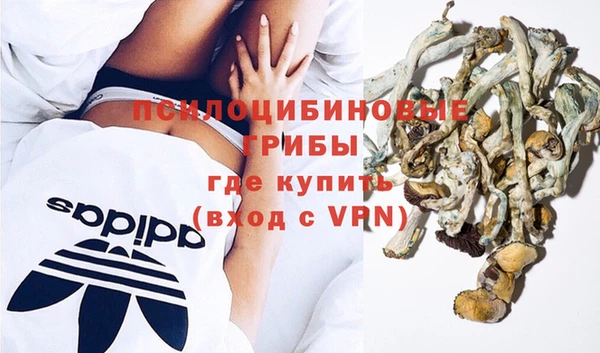 мет Алексин