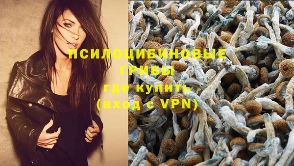 MDMA Premium VHQ Алексеевка