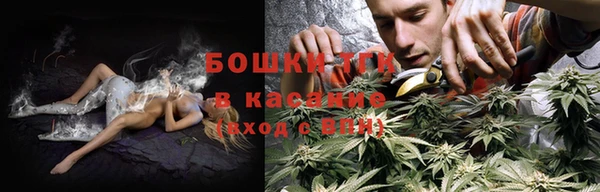 прущие крисы Алзамай
