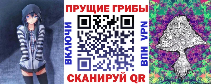 Галлюциногенные грибы Magic Shrooms  Бакал 