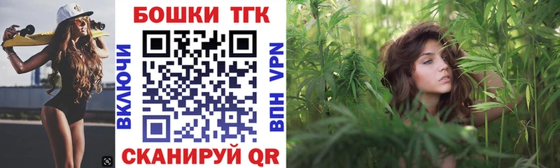 Каннабис планчик Бакал
