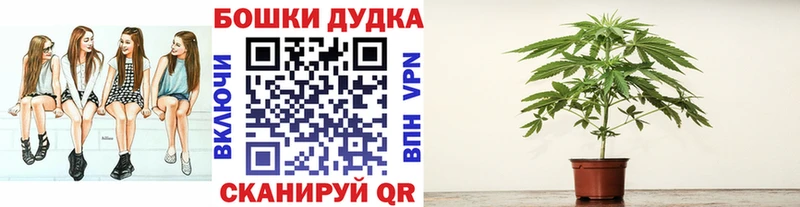 Канабис MAZAR  Бакал 